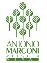 Antonio Marconi